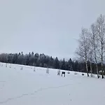 W Oddali Z Balia Międzylesie