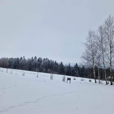 W Oddali Z Balia Międzylesie