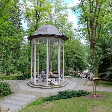 W Oddali Z Balia * ミエンジレシエ