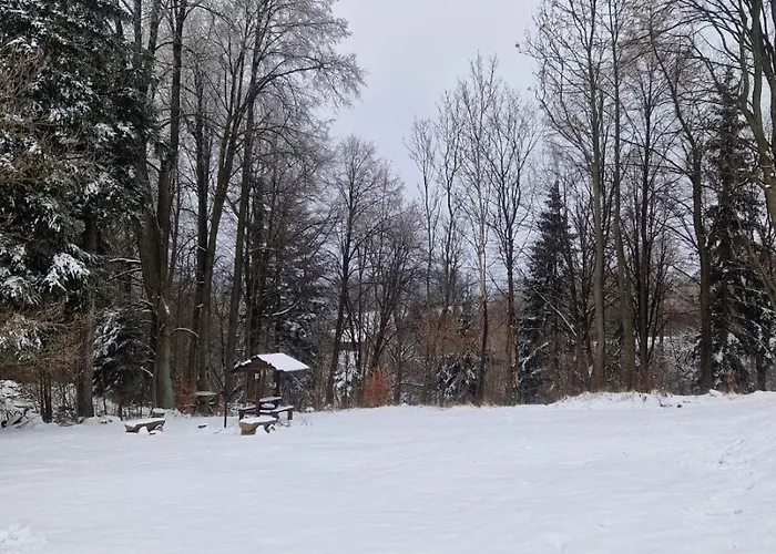 W Oddali Z Balia * 미에드지레시