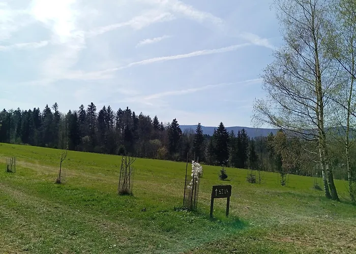 W Oddali Z Balia 펜션 *