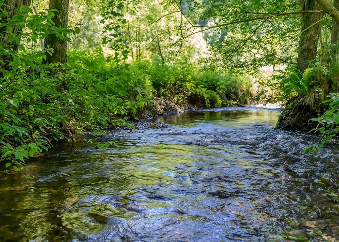 펜션 W Oddali Z Balia