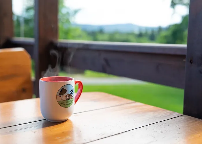 W Oddali Z Balia * 미에드지레시